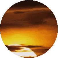 Good Morning Goodmorning Sticker