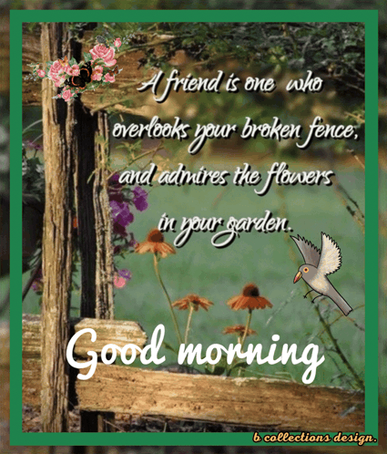 Morning Good Morning