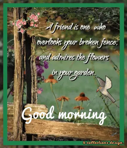 Morning Good Morning